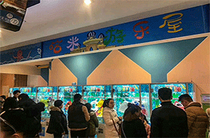 浙江哈米游樂(lè)屋案例展示