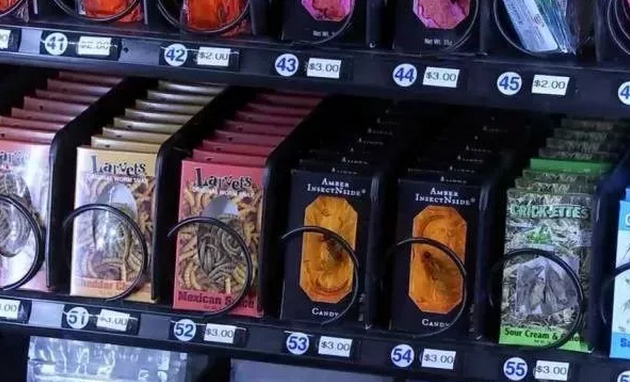 昆蟲福袋機