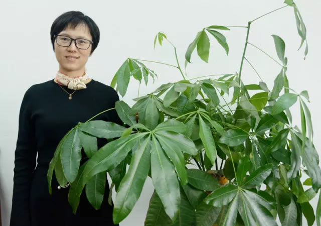 立而方營銷總經理張香玲
